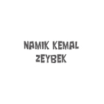 namik_kemal_zeybek